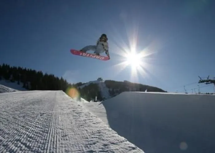 阿迪杰贝斯特维斯特酒店 4*